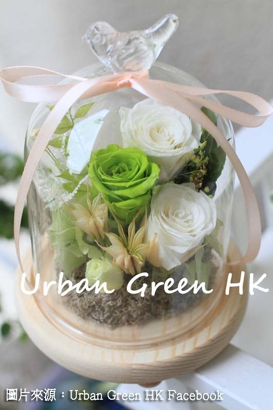 Urban Green HK