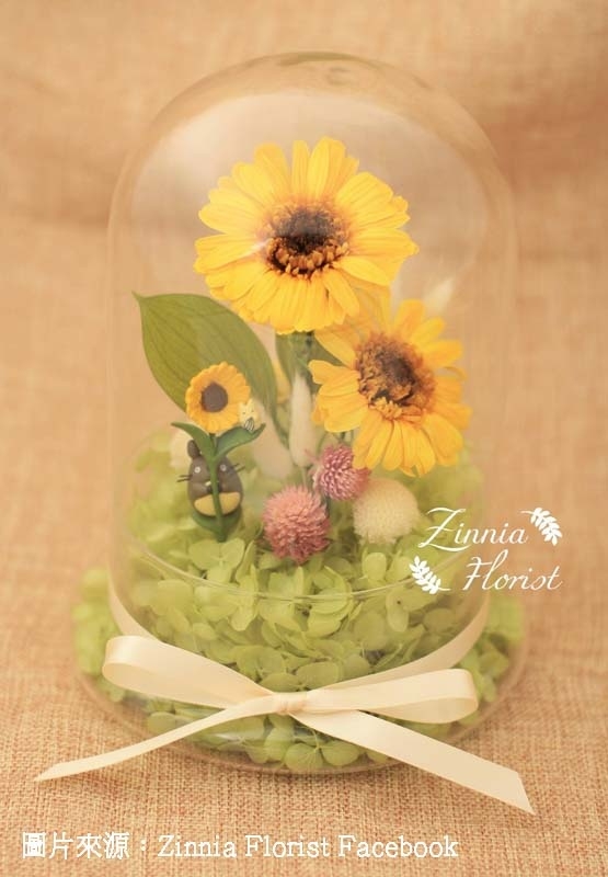 Zinna